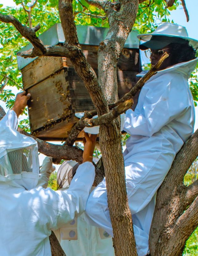 Community Empowerment